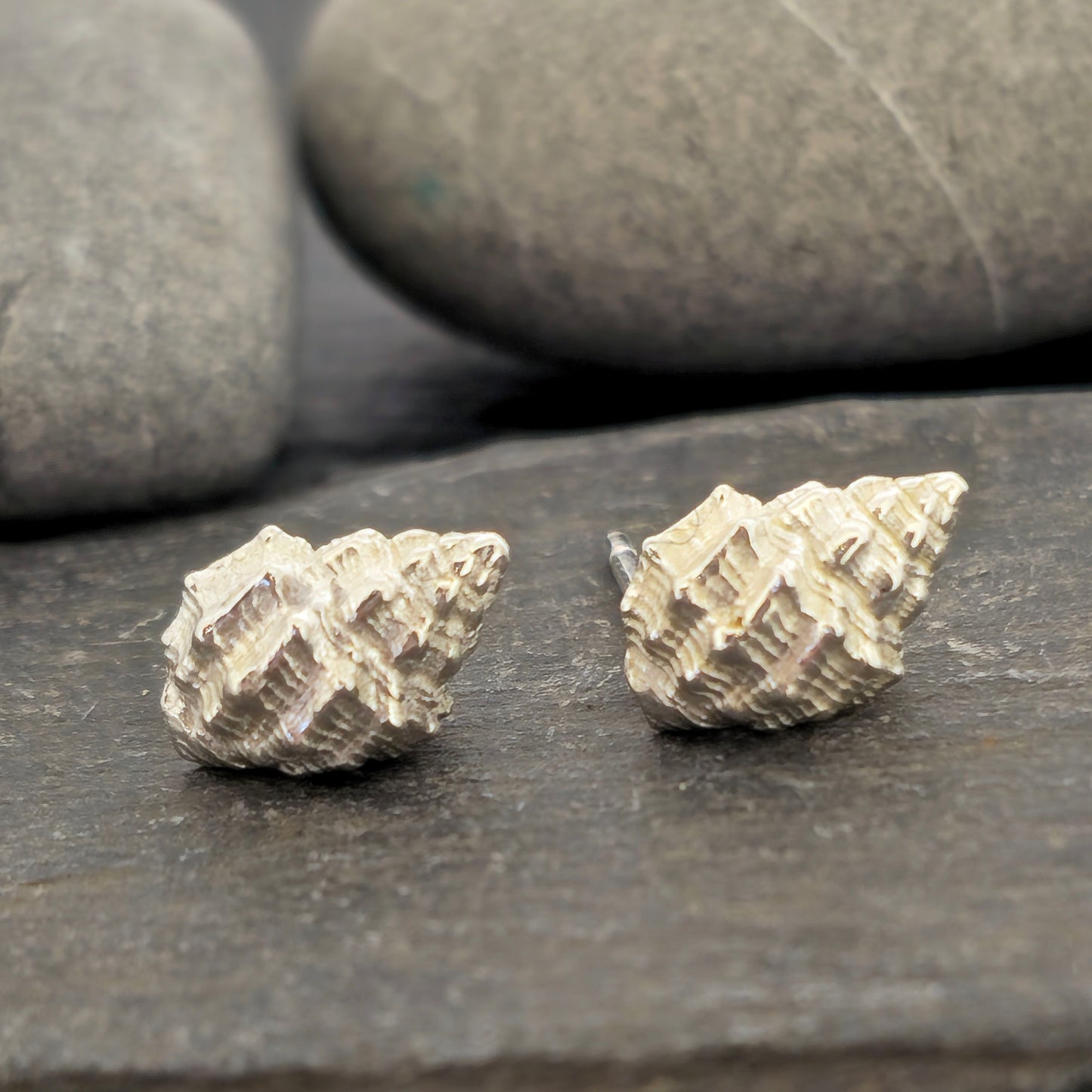 Silver Periwinkle shell stud earrings on a stone background. Handmade. Mijoux Jewellery.
