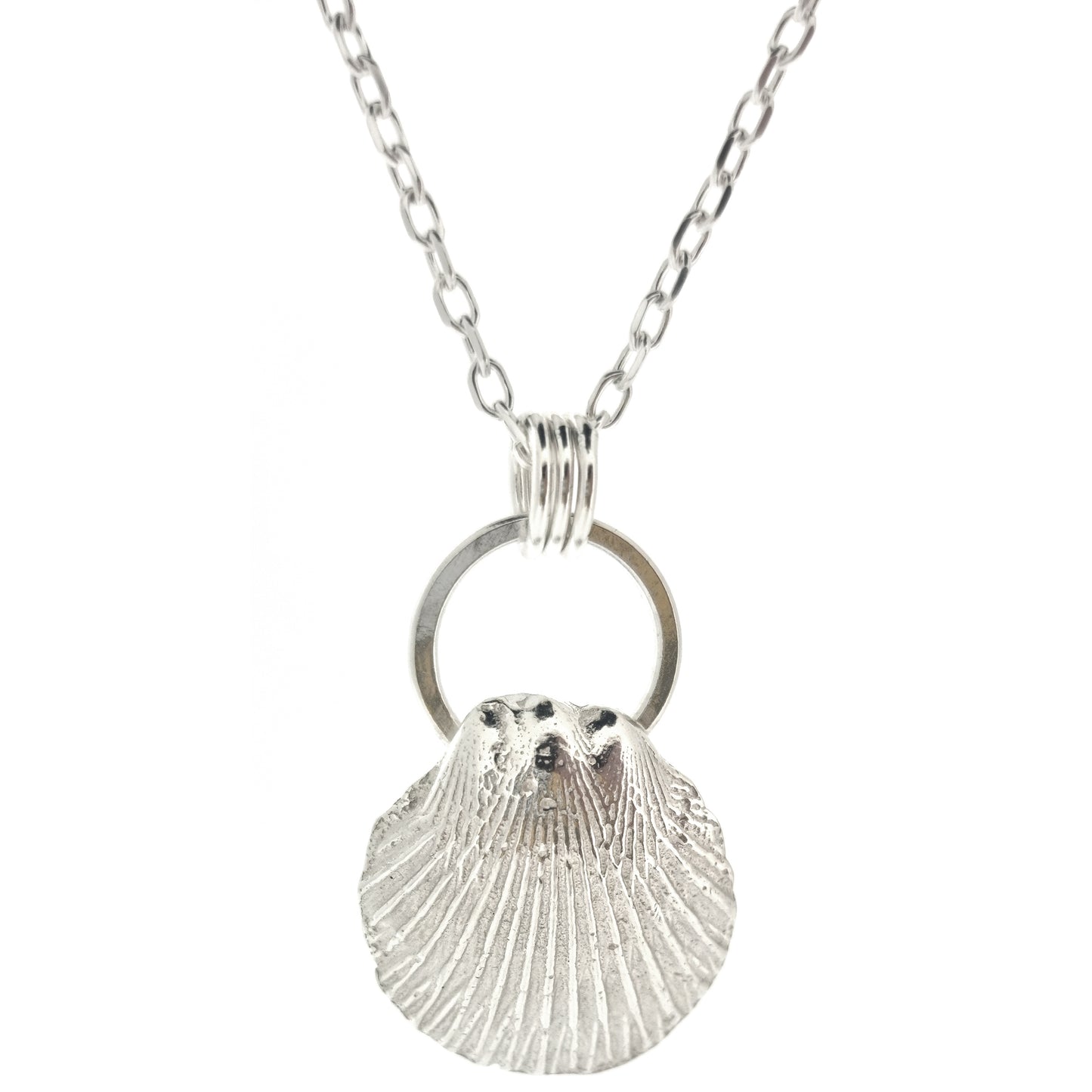 A silver pendant featuring a scallop style shell on a silver circle with 3 loops attaching it to the silver chain.