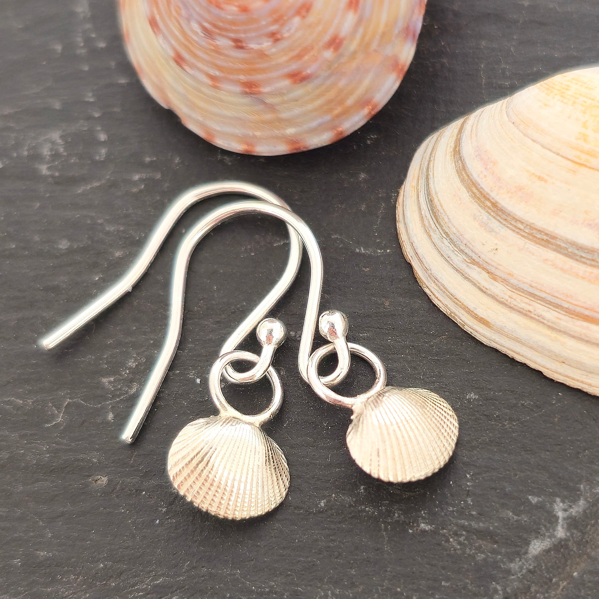 Silver cockle shell drop earrings on black background with real shells. Handmade. Mijoux Jewellery.