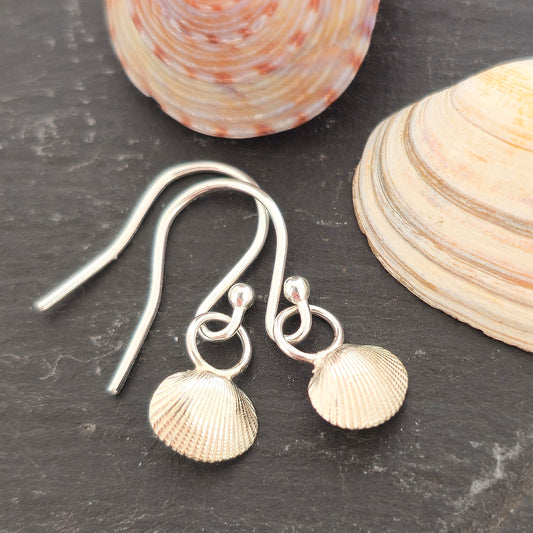 Silver cockle shell drop earrings on black background with real shells. Handmade. Mijoux Jewellery.