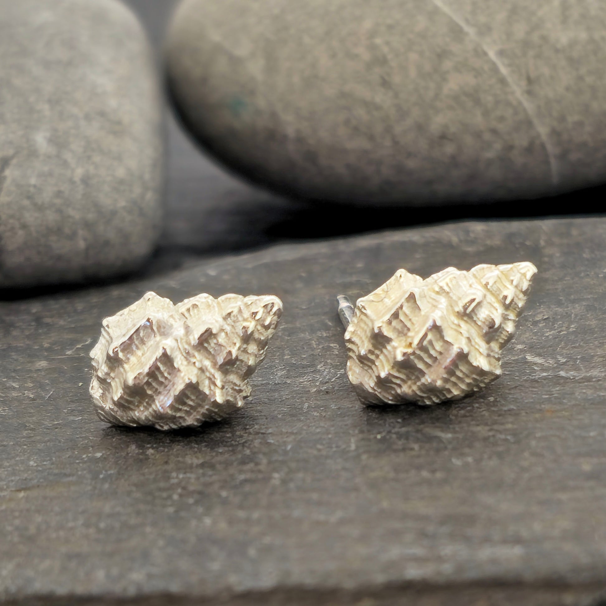 Silver Periwinkle shell stud earrings on a stone background. Handmade. Mijoux Jewellery.